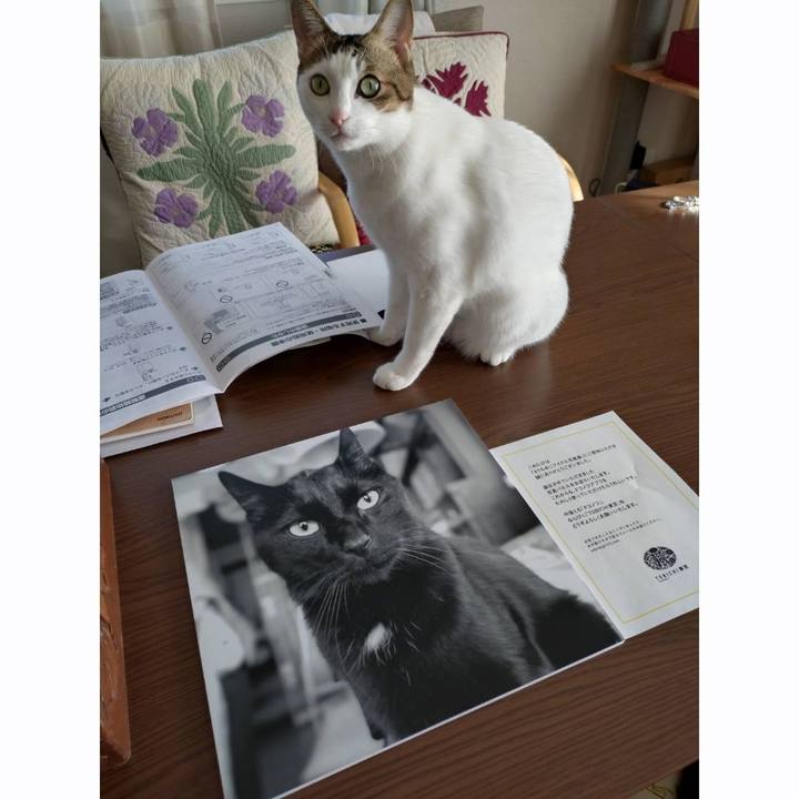 97b93fad ea13 4a99 be44 e70f3ff8ac03 1763258427493