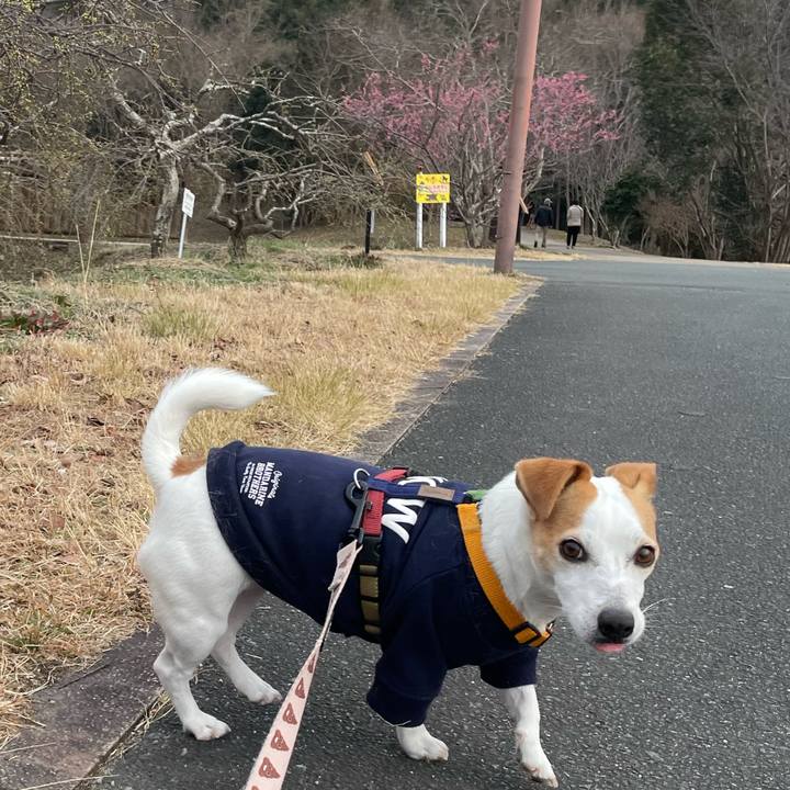 97b948bd befc 4fa2 a878 38f86ddf00e6 1644914429645