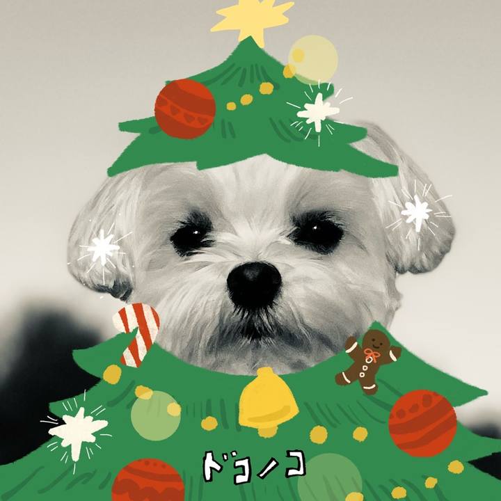 97b94f30 d153 4504 a767 180446d3d14e 1762494111316