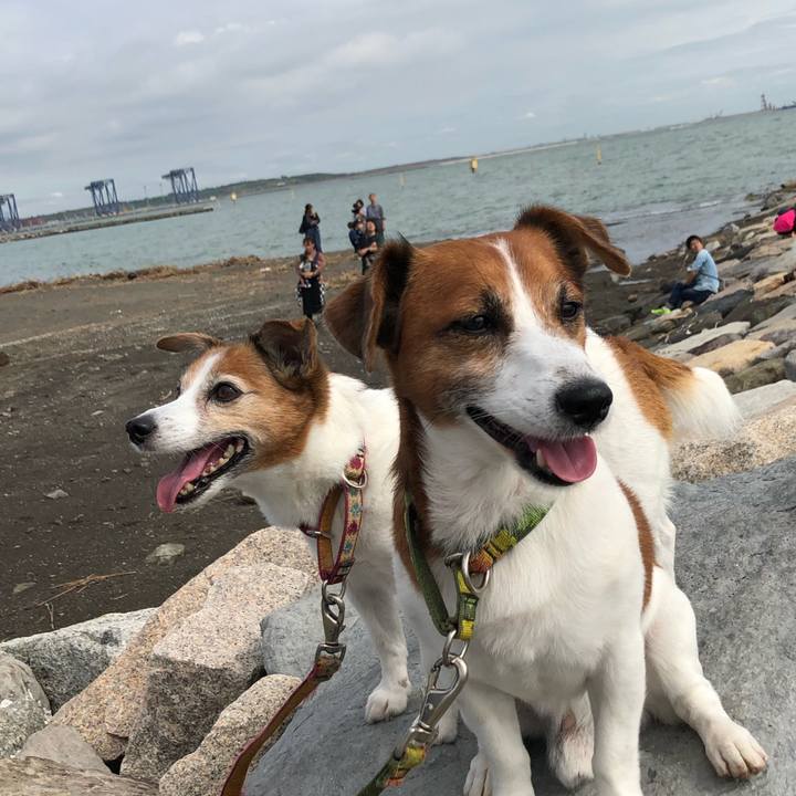 97b983f3 d893 4a18 8aba 450d6b484ca3 1571748744329