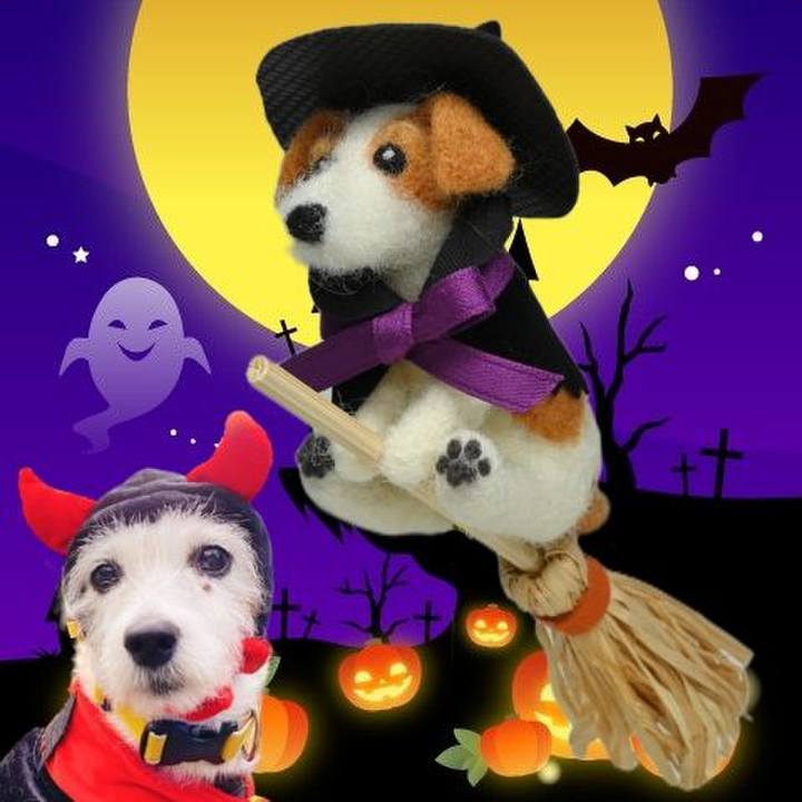 97b98929 1f6b 415c 847f 2e8ab373b8d3 1761907947146