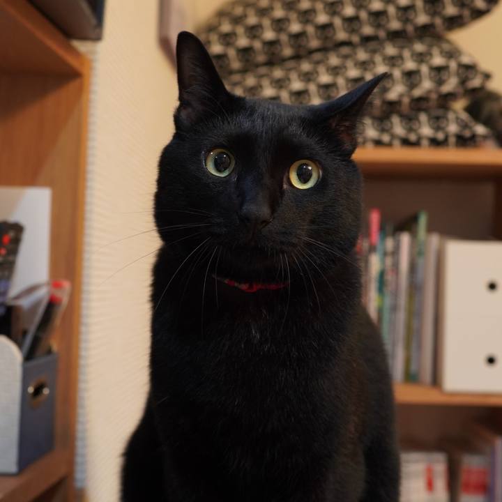 97b9e29c bb5b 4054 b390 2dcddcf04b37 1592231687461