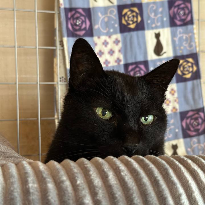 97b9e57c a5c2 428a a6cd 801b811b6c44 1710814089559