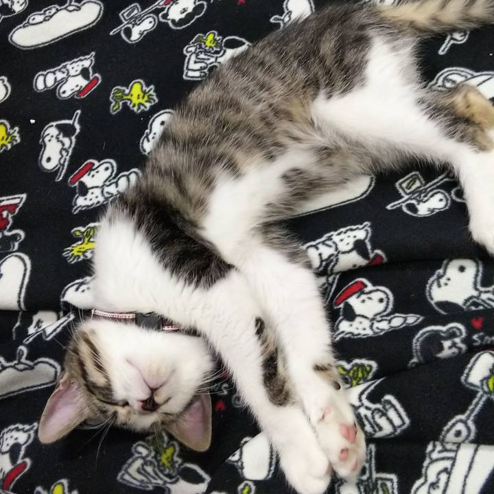 97ba29f1 c0e6 4f68 af5d a9c5cc37f394 1609243773108