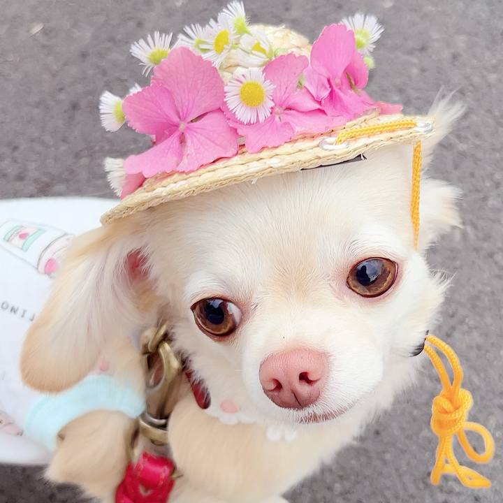 97ba5279 8e1e 42d6 980b eb29fac14404 1686742149160