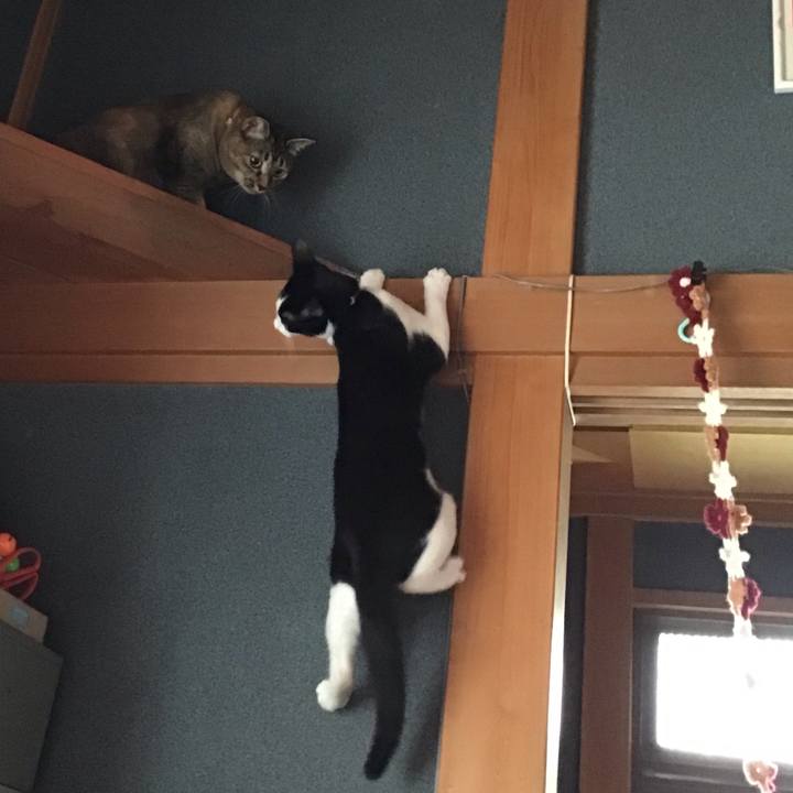 97ba7347 c5ec 43dd bb39 7df301692394 1630019310954