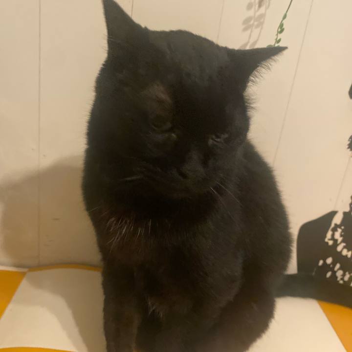 97ba98a3 4c52 4d75 9c2c b9b8067c07d4 1717787392824