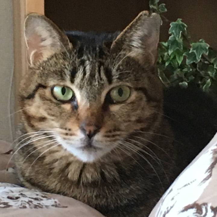 97baa36c 03d7 435b 910d 56ef9c238e61 1581204225393