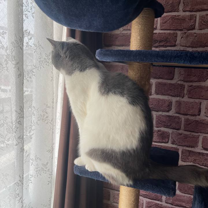 97baddb8 c0da 44a8 b69f aebc166a7b29 1748821468902