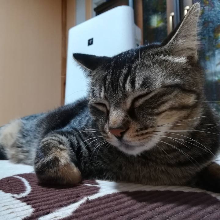 97bae68c 535e 4362 b512 eb4d7d98c2a9 1552397152183