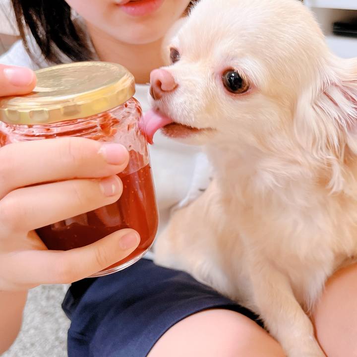 97baf288 fab1 45fe a56c c1828e1eff8d 1657283578877