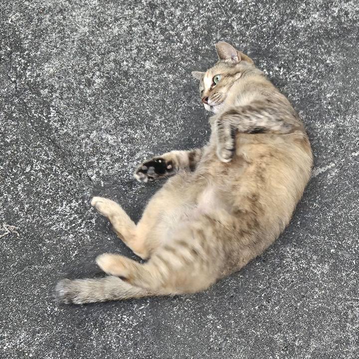 97bb1ef4 bfee 4a2b 84ab d8c7352fc2d6 1722145336960