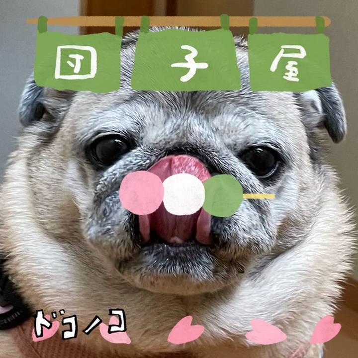97bb1f2a f698 4354 91f8 b6f37428a694 1712228491396