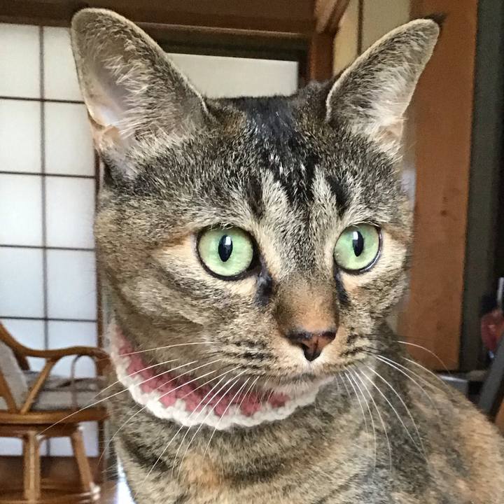 97bb1f9b 4681 4b15 af36 5153ebb8ba2d 1723884868170