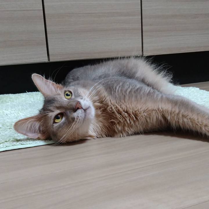 97bb4ffe 42e5 400f a489 e3f786ddd4bf 1623583347927