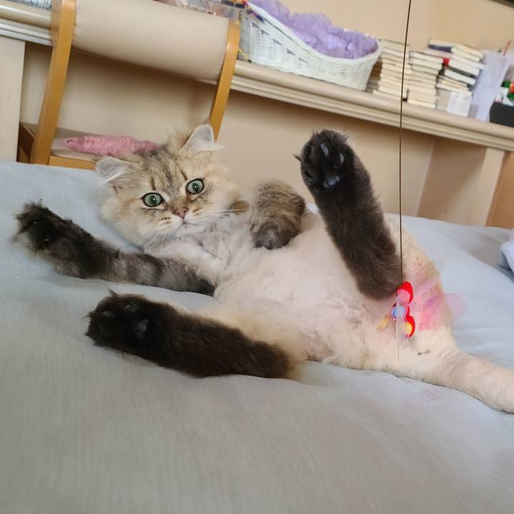 97bb663e 8814 4ce4 8eb6 f070b49525f0 1624961072045