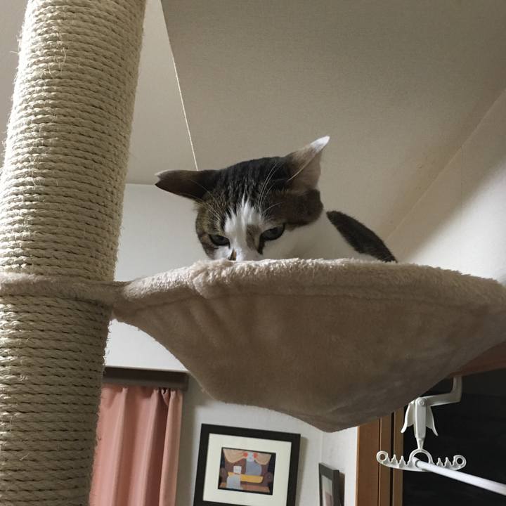 97bb7952 0a69 44bb 9cbe ea8aef371b3e 1520469492748