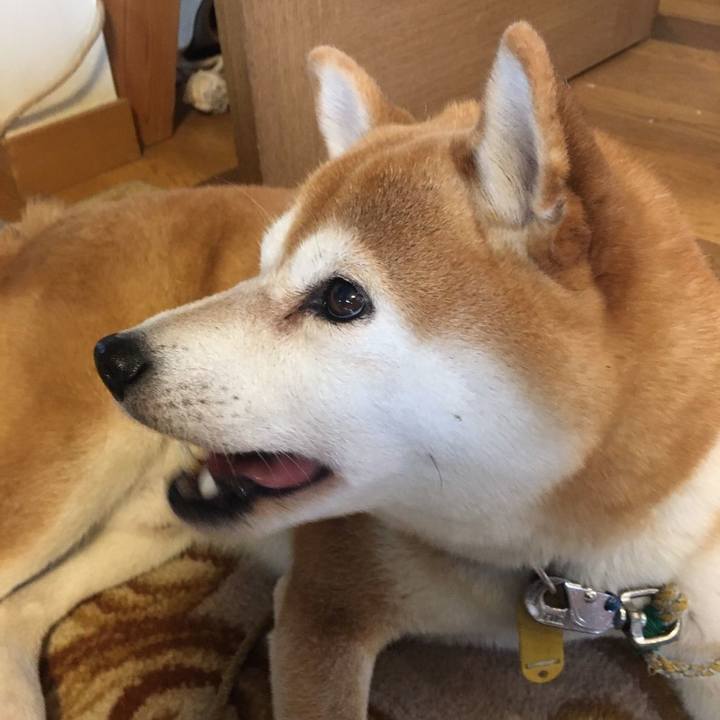 97bb7a33 a4f2 4365 b85a 017ae79592f4 1573702637771