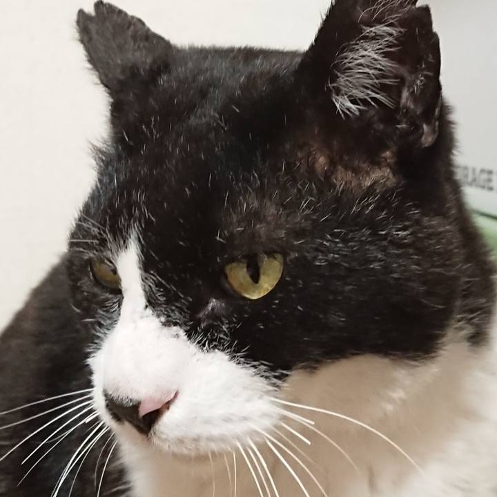 97bbd7e5 ee3c 4dcb bc1c 51bbb4381b02 1619858386462