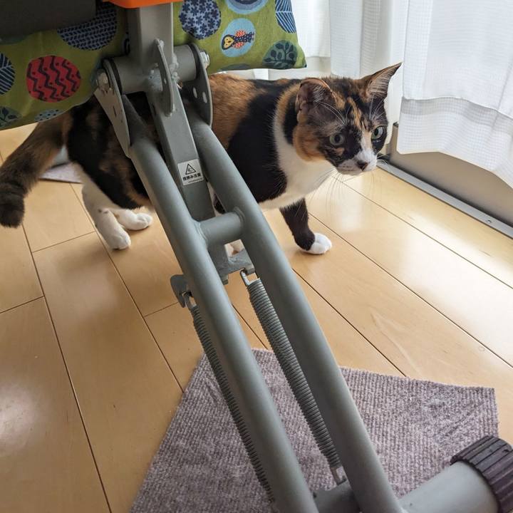 97bbefb4 4e86 4760 a86a f72d225f4ed0 1697430862386