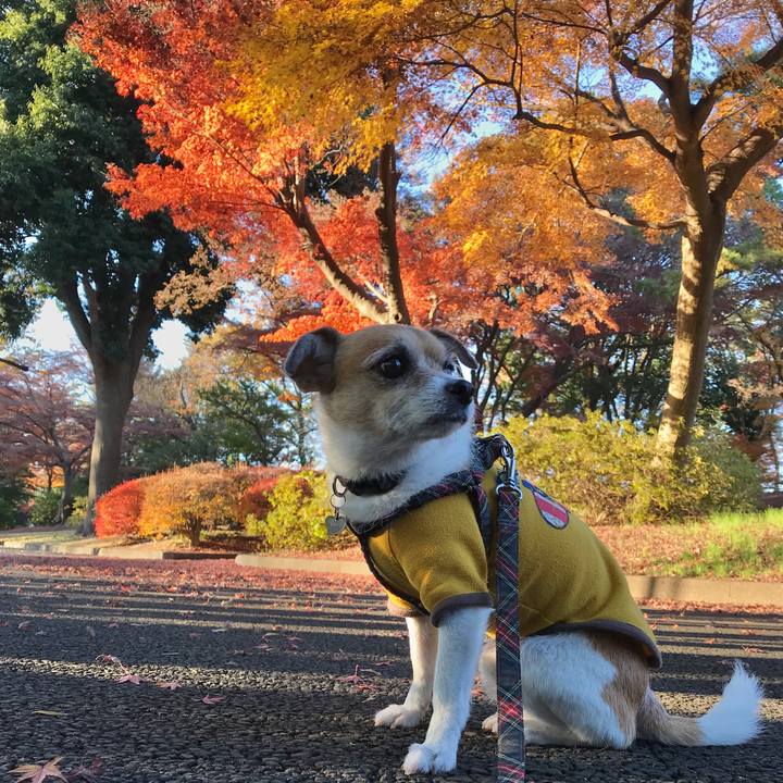 97bc1062 8f06 4573 8b2e b3258a047dea 1575789680012