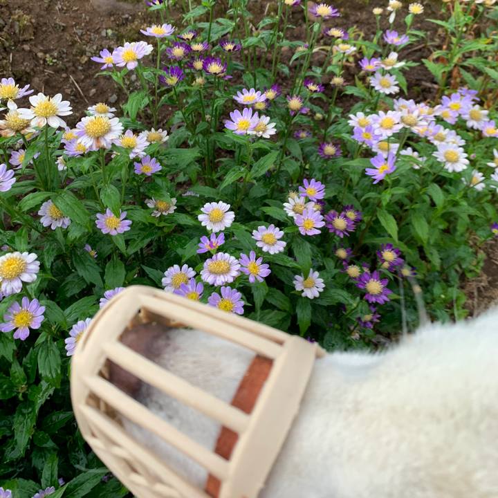 97bc1961 2647 4a8d b334 0a9dedeb7ea6 1561153025980