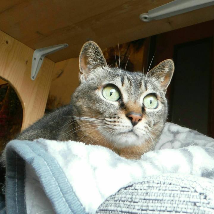 97bc34ee 6c66 4665 a21d 4e9f616173ef 1554771799648