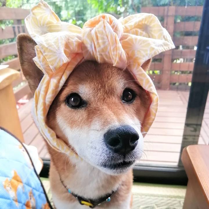 97bc37f7 3044 40dc b37a 75a5cae9c37f 1631669769752