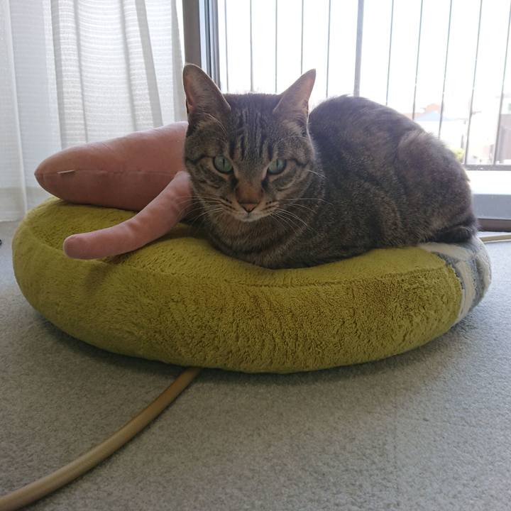 97bc3944 ebff 4a85 aa38 38e01df0bb28 1584238613648