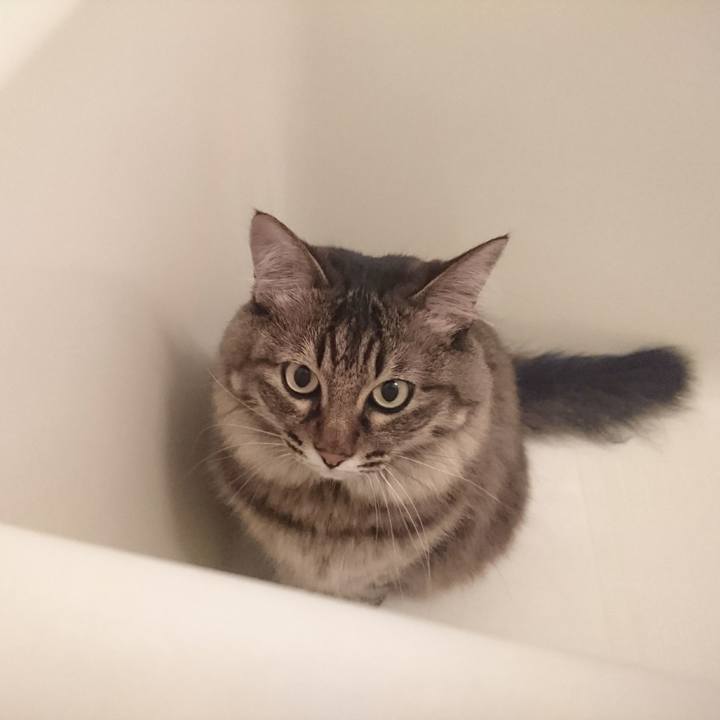 97bc56d5 46b6 4f73 815b 059429cba6bc 1514129060637