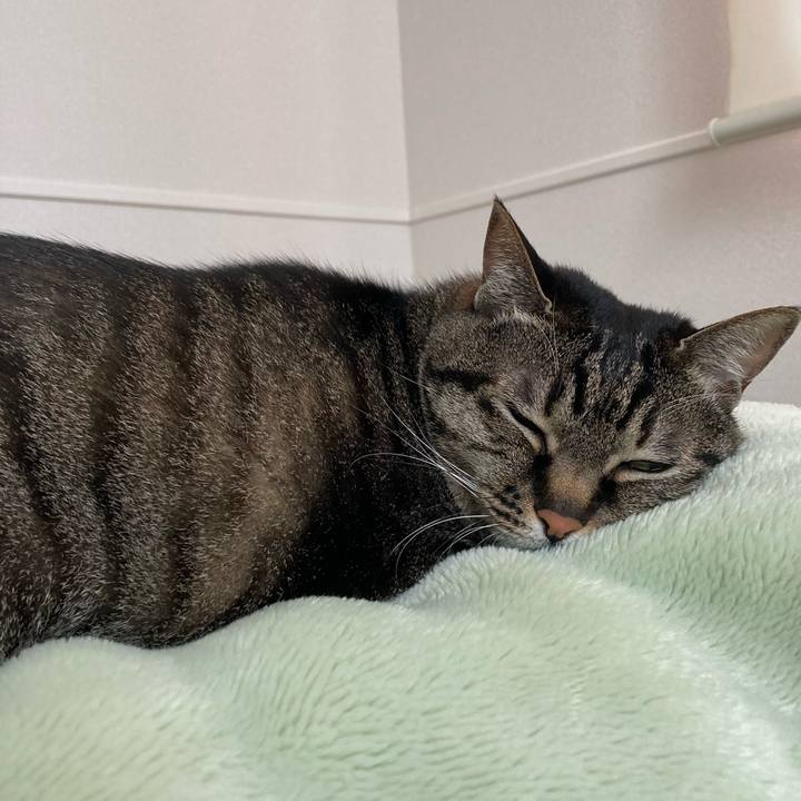 97bc7763 317d 4f08 99f7 84bd06140850 1650497182255