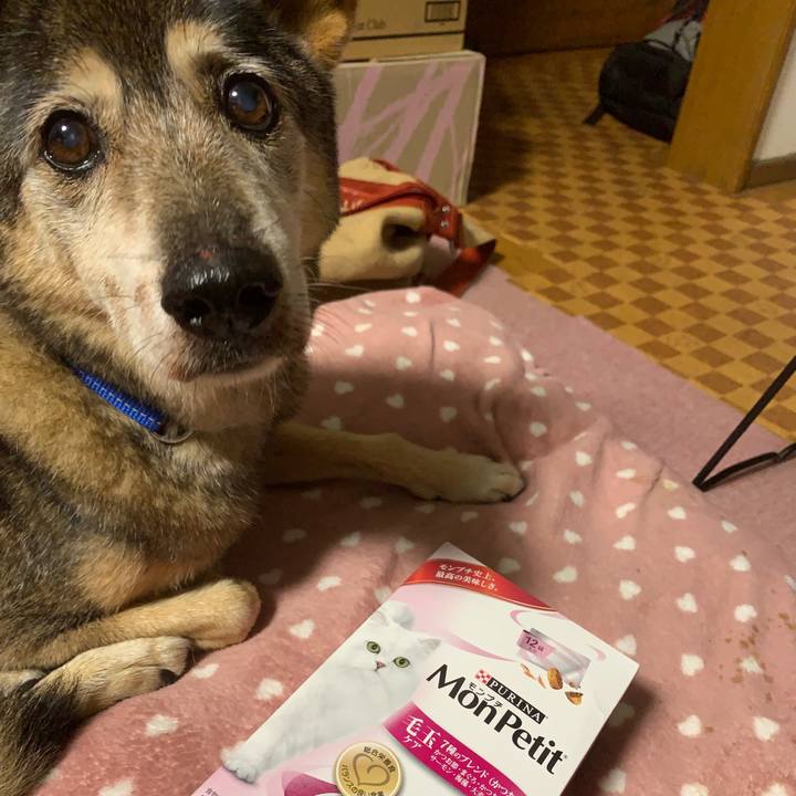 97bc7d82 7012 46a7 a736 5632d17ba6ba 1573476292638