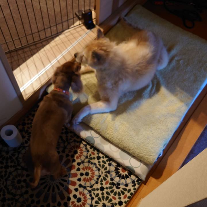 97bc8610 cee1 45cd bc09 13d4e237befe 1627263667676