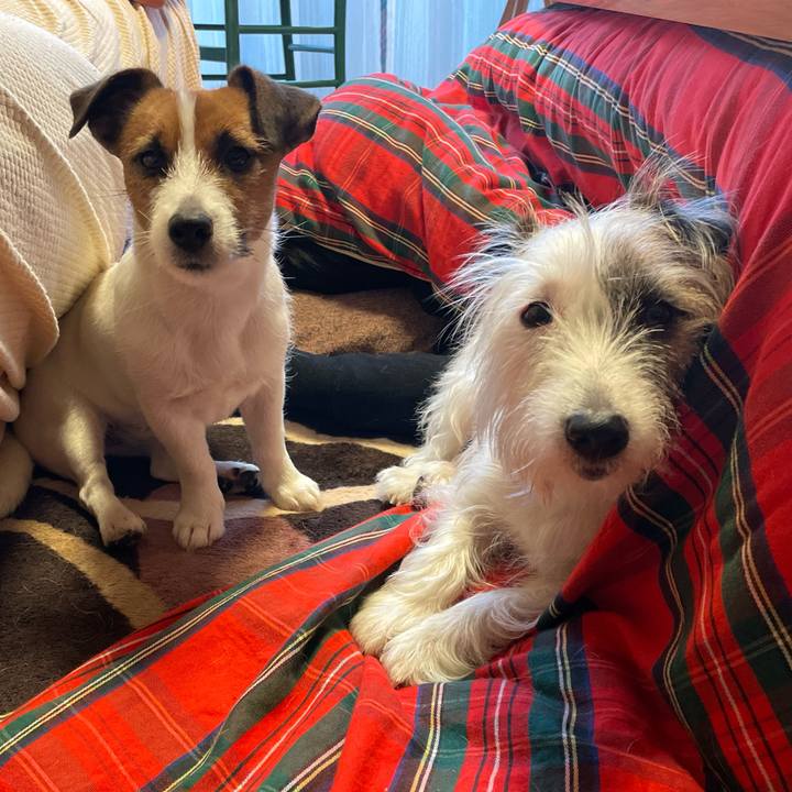 97bcc42d e830 46c2 934c 4ddbcf77a114 1641257822545