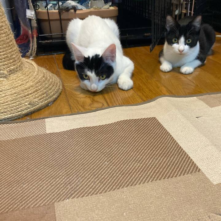 97bcf757 92ef 486c 844d a7b128aec523 1731502770243