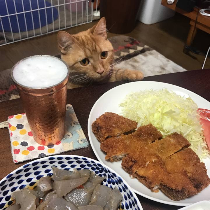 97bd187e 0fbc 4d33 9590 3566cfeff867 1522159725172