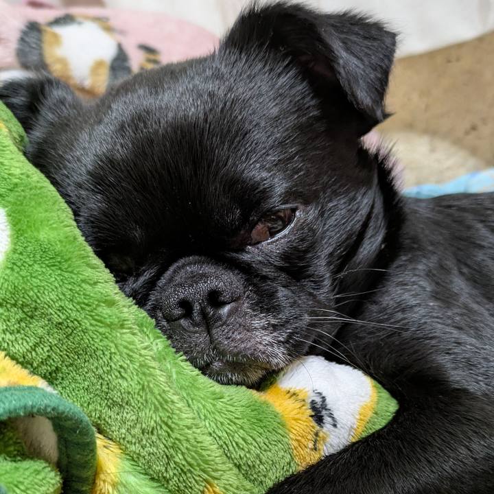 97bd1a12 20ac 4694 ba11 f9d4db2febf3 1774701797642