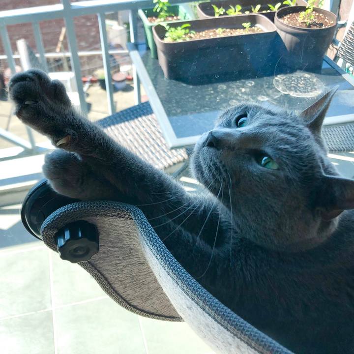 97bd5096 84e2 486c a551 d8af7e6db83e 1622785641948