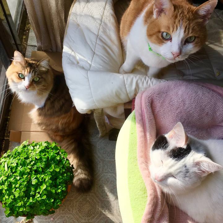 97bd51fa a84b 4f54 94a8 65b17f7501bb 1554188841004