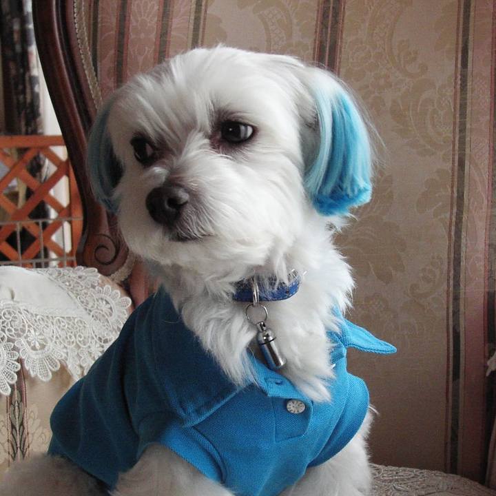 97bd5d41 2a93 4d51 9c96 c73556c38e75 1525999653363