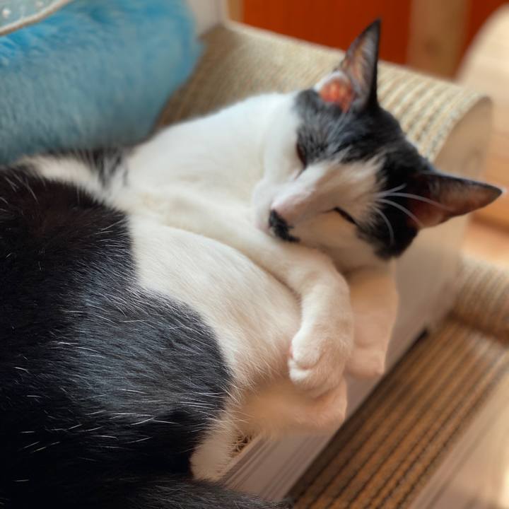 97bd6bd3 828b 45fa 8690 51c088389799 1594512003379