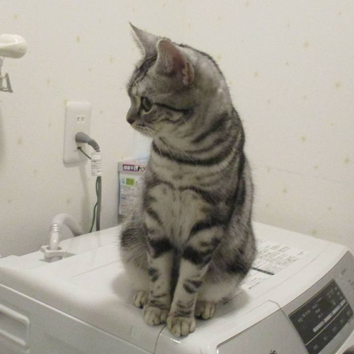 97bd88d8 3c1f 4a14 b5f1 550435b9fbd3 1548846809995