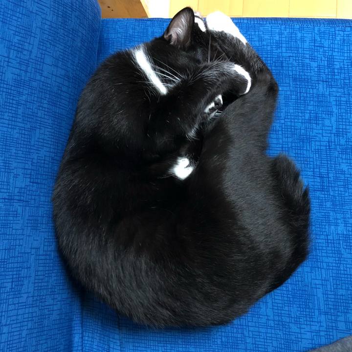 97be0558 283a 4161 8874 e4f462f892ad 1539660588592