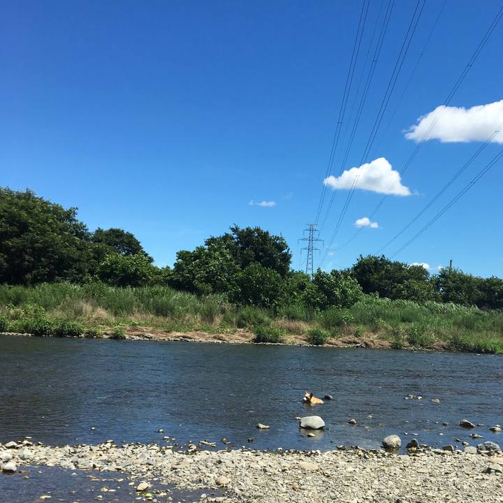 97be06f4 af33 44b5 9059 23ea0f43fed7 1564109832022