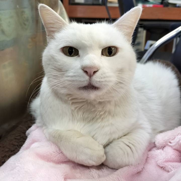 97be14ba 3c3e 4e47 a01d 672ce1488c37 1766974367057