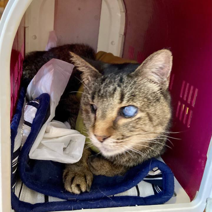 97be2aa7 fb7d 456e 92b3 0872a5219cb8 1682045102092