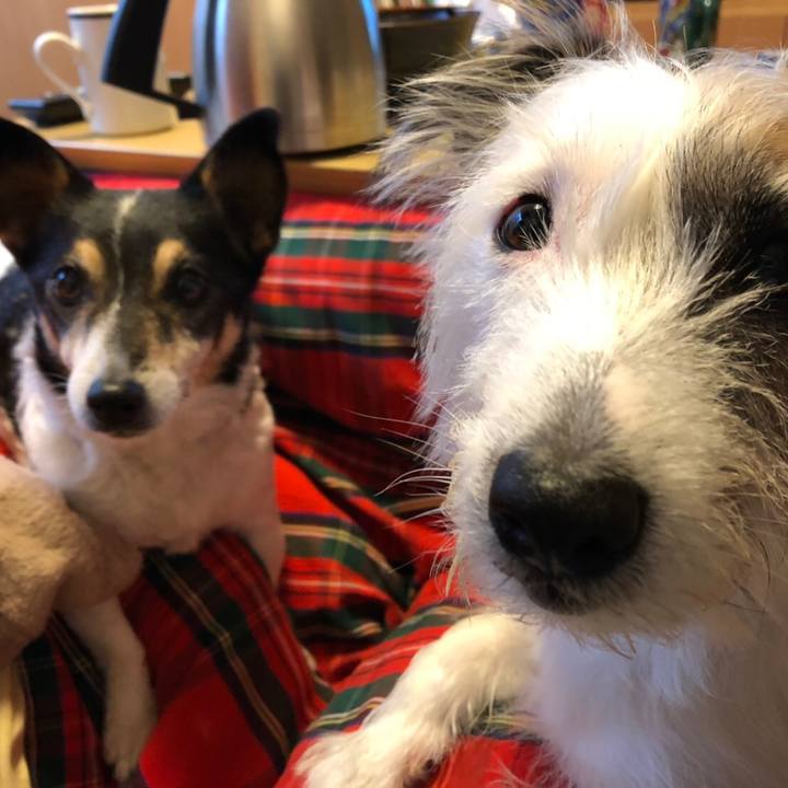 97be3f7a 66ee 47fb b7ee 48791010b14a 1577188881046