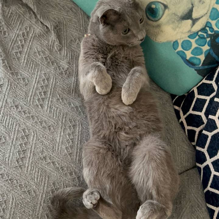 97bf0707 967c 4ed5 9132 9af062858379 1743393337054