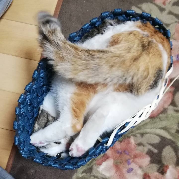 97bf2731 f26a 4db7 befa b9ce42f5b2f2 1613476559848