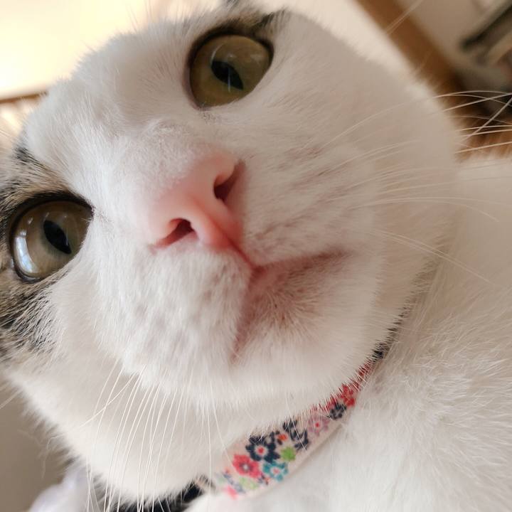 97bf29c0 9cf0 4c46 8413 1572fc8ebd2c 1599277236936